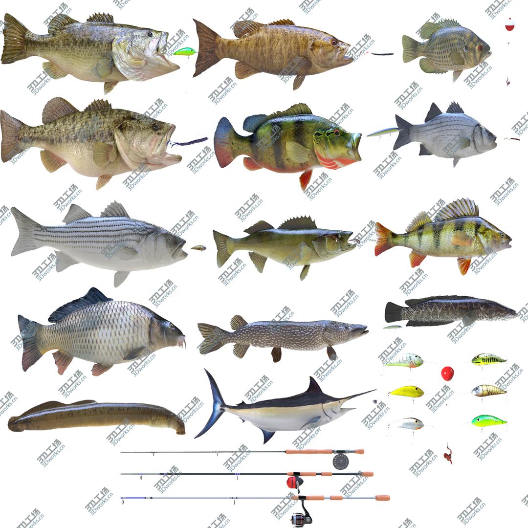 images/goods_img/202104092/3D model Fish Collection Vol2/1.jpg